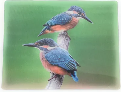 Produktbild von Onwomania Eisvogel Alcedo Vogel Tier 9x7cm 3D Magnet Karte Kühlschrankmagnet Magnetbild Heftmagnet mehrfarbig