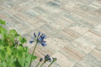 Produktbild von Terrassenplatten VIA MUSCHELKALK 60/30/4 CM PE2 96/DBP