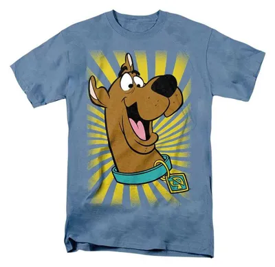 Imagen del producto de Sudadera Scooby Doo, uni, para hombre/mujer, modelo TV37836 (talla M), color azul Carolina