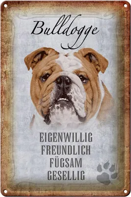 Produktbild von Blechschild Spruch 20x30cm Bulldogge Hund gesellig Schild
