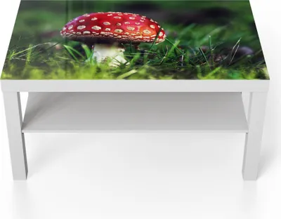 Produktbild von DEQORI Couchtisch 90x55 cm Weiß 'Roter Waldjuwel' Glas Beistelltisch Glastisch modern