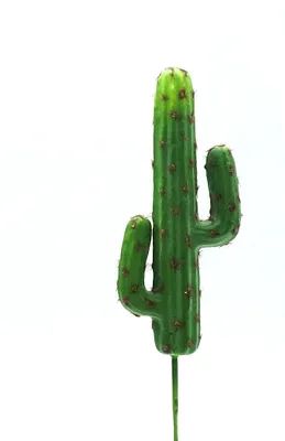 Immagine prodotto di Cactus del deserto BioPlant Cactus artificiale per il terrario della steppa del deserto