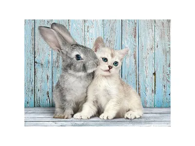 Immagine prodotto di CLEMENTONI puzzle coniglio e gattino 500 pezzi