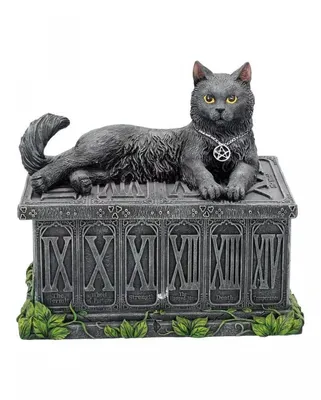 Produktbild von Glückswächter Katze auf Schmuckschatulle