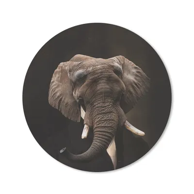 Produktbild von MuchoWow® Mauspad Mousepad Porträt - Elefant - Kunst 20x20 cm - Mousepads - Maus Mat - Pad - Mausunterlage - Schreibtischmatte