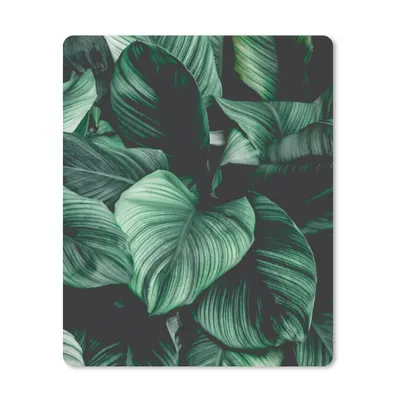 Produktbild von MuchoWow® Mauspad Mousepad Dschungel - Blätter - Tropisch - Pflanzen - Natur 30x40 cm - Mousepads - Maus Mat - Pad - Mausunterlage - Mausmatten
