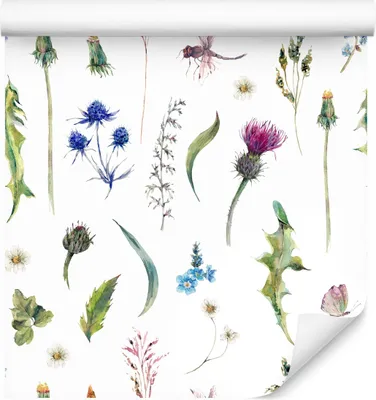 Immagine prodotto di 10m VLIES WALLPAPER rotolo natura fiori campo dente di leone acquerello XXL