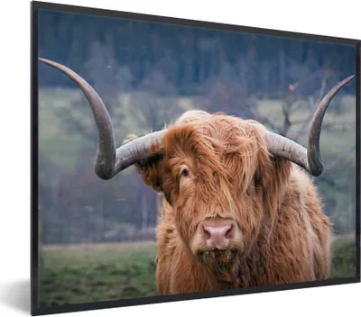 Produktbild von MuchoWow® Gerahmtes Poster Schottischer Highlander - Hörner - Berg 80x60 cm - Poster mit Schwarzem Bilderrahmen Wandposter Rahmen Foto Bilder - Schwarzem - Mit Gestell