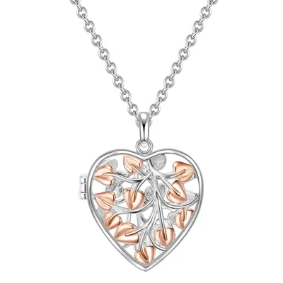 Produktbild von Rafaela Donata Halskette Herz Sterling Silber 42,0 cm Basiskette + 7,0 cm Verlängerung 50115077