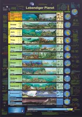 Produktbild von Lebendiger Planet (Planet-Poster-Box)