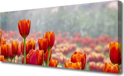 Produktbild von Tulup Leinwand-Bilder 125x50 Wandbild Canvas Kunstdruck Tulpen Pflanzen