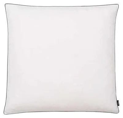 Produktbild von vidaXL Kissen 2 Stk. Daunen-/Federnfüllung Schwer 80x80 cm Weiß