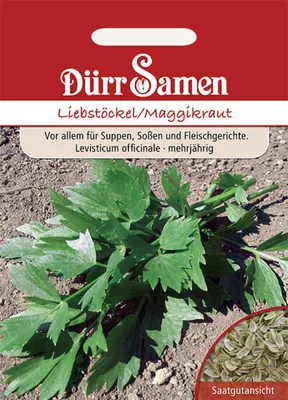 Produktbild von Dürr-Samen - Liebstöckel Maggiekraut - Saatgut - 0182