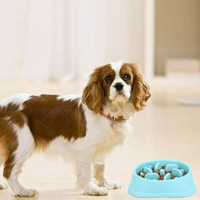 Produktbild von Langsam Zerlegende Puzzle Schüssel für Hunde - Anti-Gurgelung Hundespeise - Interaktive Atemblase Stopper Hundeessenbehälter - Lang anhaltende Verdauung Gesundes Design Hundeschüssel (Rosafarben)