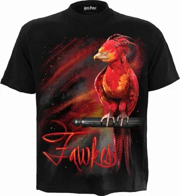 Produktbild von Harry Potter T-Shirt Herren Fawkes schwarz Fan-Merch, Filme 100% Baumwolle XXL