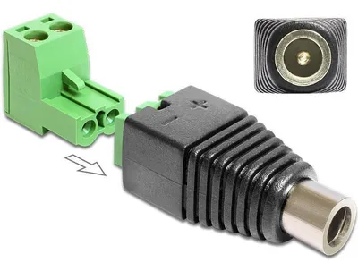 Image de DELOCK Adaptateur bloc terminal 2 broches -> DC 2,1 x 5,5mm Bu 2-