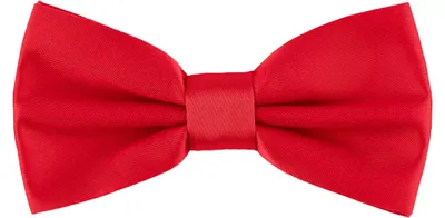 Produktbild von Ladeheid Kinder Jungen Fliege MJ (10cm x 5cm, Red2)