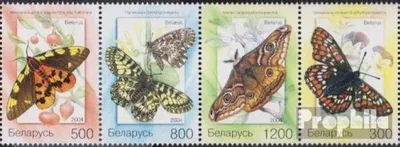 Produktbild von Briefmarken Weißrussland 2004 Mi 557-560 Viererstreifen (kompl.Ausg.) postfrisch Schmetterlinge