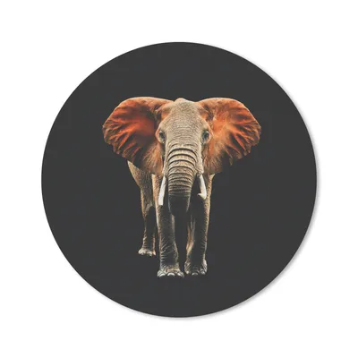 Produktbild von MuchoWow® Mauspad Mousepad Elefant - Tiere - Zähne 20x20 cm - Mousepads - Maus Mat - Pad - Mausunterlage - Schreibtischmatte