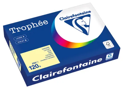 Image de Clairefontaine Kopierpapier 1248PC A4 120g gelb 250Bl