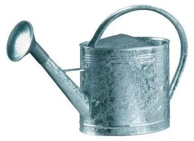 Gießkanne aus verzinktem Stahl, 13 l, mit Brausekopf