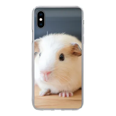 Produktbild von MuchoWow® Handyhülle Schutzhülle Hülle für iPhone Xs Niedliches Baby-Meerschweinchen Silikon Softcase Handy Hülle - Handytasche