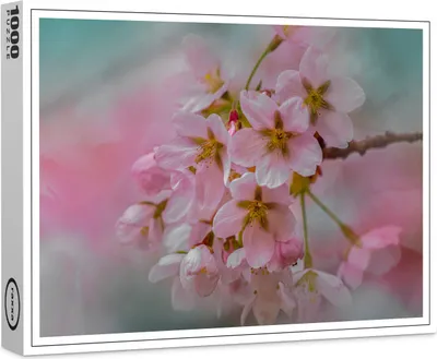 Produktbild von raxxa Premium-Puzzle "Frühlingsblüten", 1000 Teile