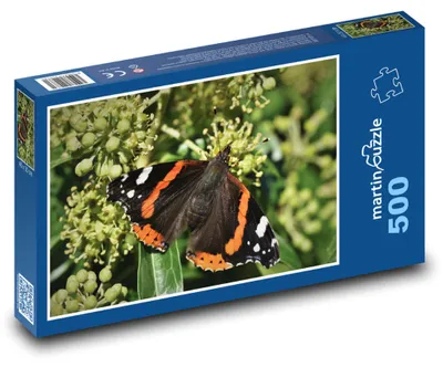 Obrázek produktu pro Puzzle 500 Motýl s barevnými křídly - martinpuzzle