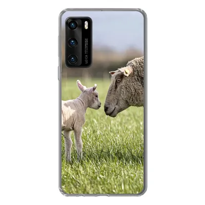 Produktbild von MuchoWow® Handyhülle Schutzhülle Hülle für Huawei P40 Schafe - Gras - Lamm Silikon Softcase Handy Hülle - Handytasche