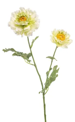 Produktbild von Ranunkel japanische grün 65 cm Kunstpflanze Emerald