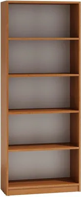 Obrázek produktu pro Regál Kancelářský regál Úložný regál Regál na spisy Regál na boty Pila 180x60x30cm Olše