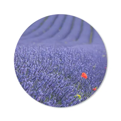 Produktbild von MuchoWow® Mauspad Mousepad Lavendel - Mohn - Blumenwiese 40x40 cm - Mousepads - Maus Mat - Pad - Mausunterlage - Schreibtisch Accessoires