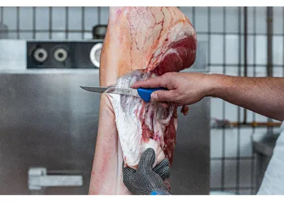 Produktbild von Dick Ausbeinmesser mit 15 cm Klinge