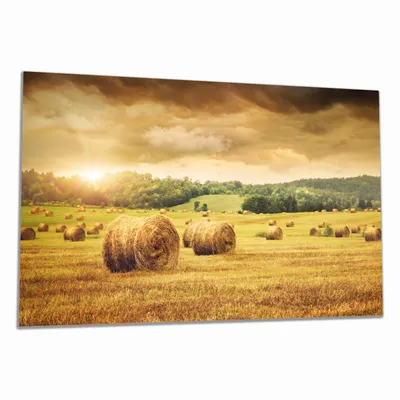 Produktbild von Wallario Herdabdeckplatte aus Glas, Größe 80 x 52 cm 1-teilig, Motiv Strohballen auf dem Feld bei Sonnenuntergang