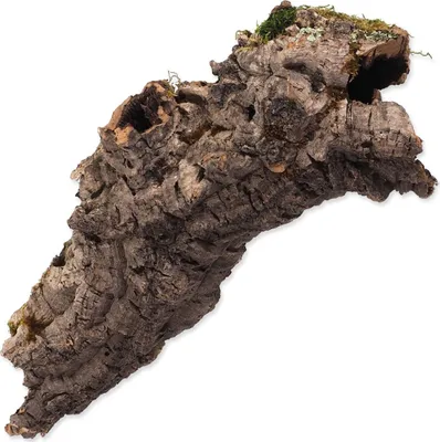 Immagine prodotto di Dekorace Repti Planet Korková kůra M 15-30cm