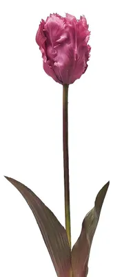 Produktbild von Clayre & Eef Kunstblume Rot Kunststoff