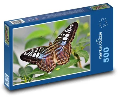 Obrázok produktu pre Puzzle 500 Farebný motýľ na liste - martinpuzzle