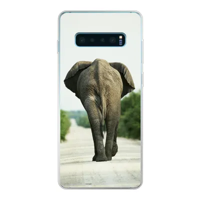 Produktbild von MuchoWow® Handyhülle Schutzhülle Hülle für Samsung Galaxy S10 Lite Elefant - Kröte - Tiere - Natur Silikon Softcase Handy Hülle - Schutz