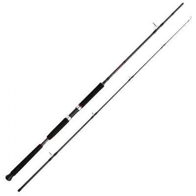 Produktbild von Shimano Fishing Vengeance Ax Pilk Jiggingrute Silber 2.40 m / 100-200 g Silber 2.40 m