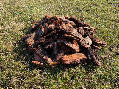 Produktbild von Pinienrinde 30-70 mm Rindenmulch Pinien Rinde Bodenabdeckung 50 L PREMIUM Dekor