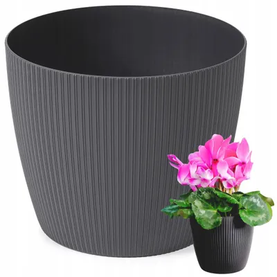 Obrázek produktu pro Neogard 0877.529, Antracit, 22 cm, 177 mm, 245 g, 1 kusů