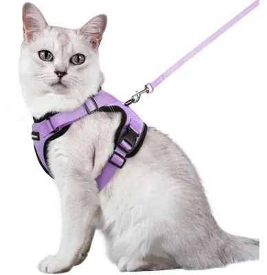 Productafbeelding van Kattenhalsband met riem, ontsnappingswerend, verstelbaar, ademend, lichtpaars, maat M