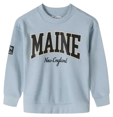 Produktbild von Minoti - Sweatshirt für Jungen, Rundhalsausschnitt MN303 (158-164) (Blau)