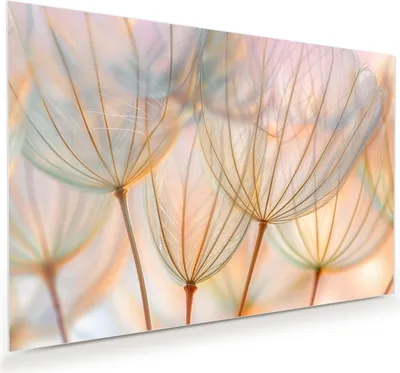 Produktbild von Glasbild 60x40cm in XXL für Wohnzimmer, Schlafzimmer Motiv Pusteblumen Kunst