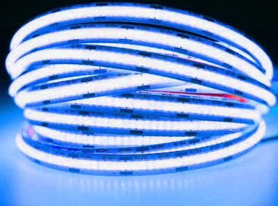 Immagine prodotto di Striscia LED 12V COB 45W 480LED 2835 Blu 8mm 5m ECOLIGHT