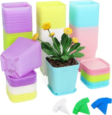 Immagine prodotto di 60 vasi di plastica piccoli, da 7 cm, quadrati, ideali per la coltivazione di piantine, con sottovasi