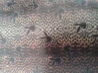 Produktbild von Microfaser-Kuscheldecke, , ca. 150 x 200 cm Leo 150x200