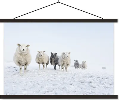 Produktbild von MuchoWow® Textilposter Schafe - Wolle - Schnee 60x40 cm mit schwarzem Rahmen - Hölzernes