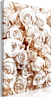 Produktbild von Italienischer Leinwand Leinwandbild - Rose Garden (1 Part) Vertical 80x120 cm Blumen b-B-0419-b-a