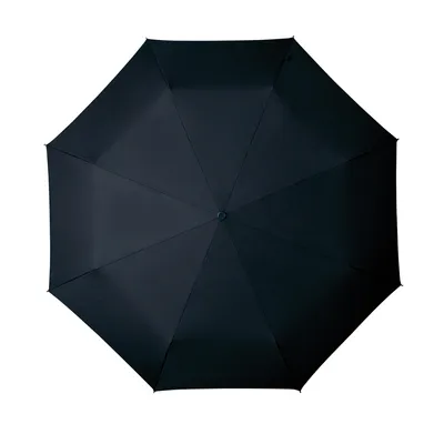 Image de Parapluie automatique 100 cm polyester/aluminium noir